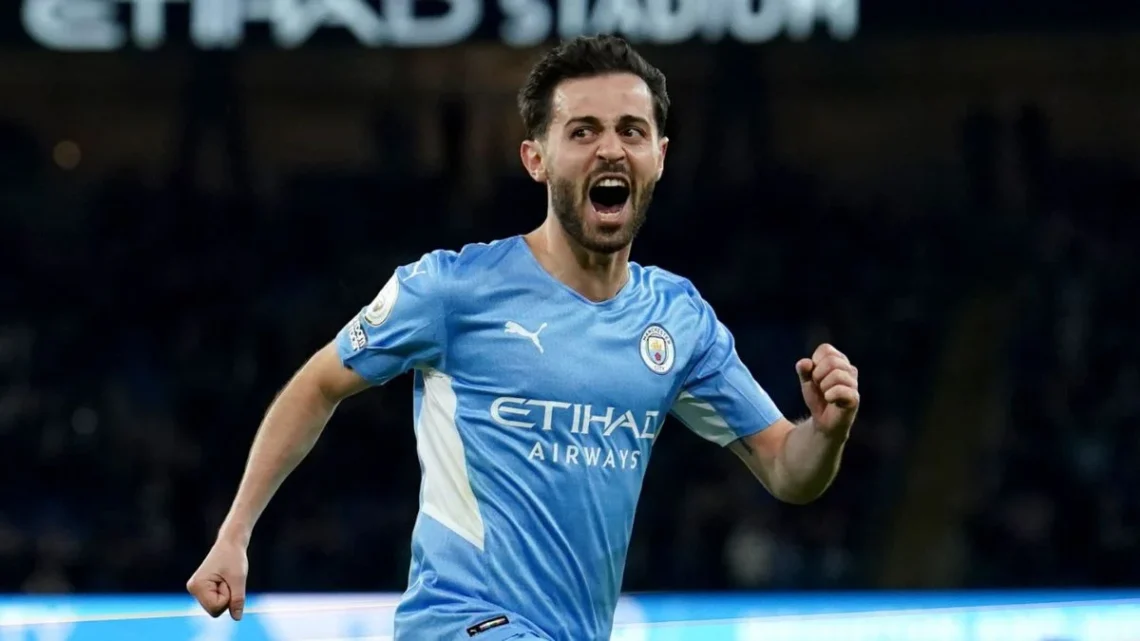Bernardo Silva Biography