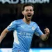 Bernardo Silva Biography