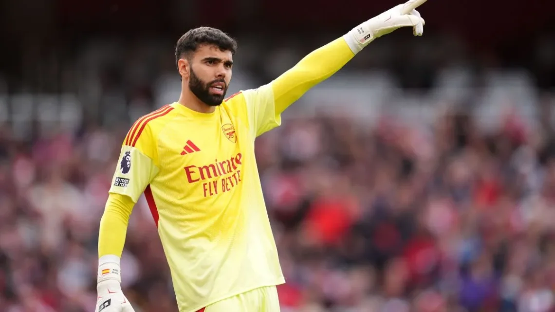 David Raya Biography
