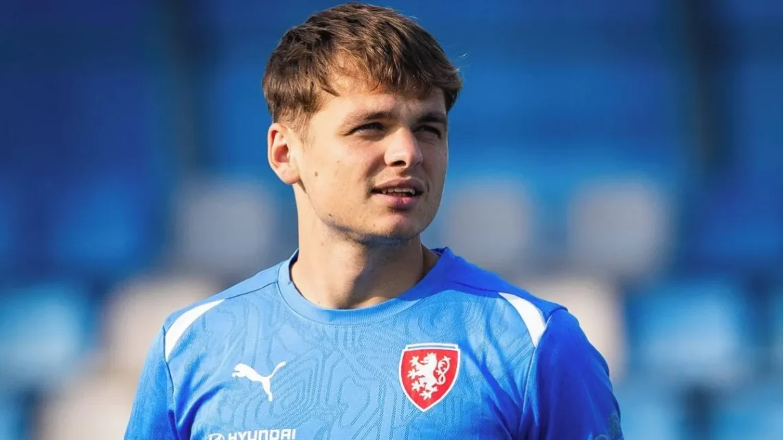 Denis Višinský Biography