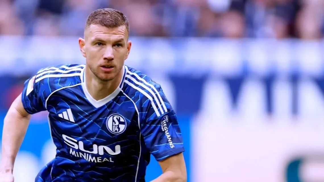 Edin Džeko Biography
