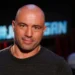 Joe Rogan Biography