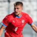 Michal Sadílek Biography