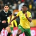 Sphephelo Sithole Biography