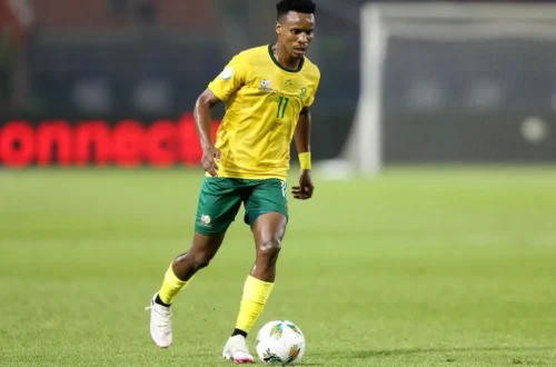 Themba Zwane Biography