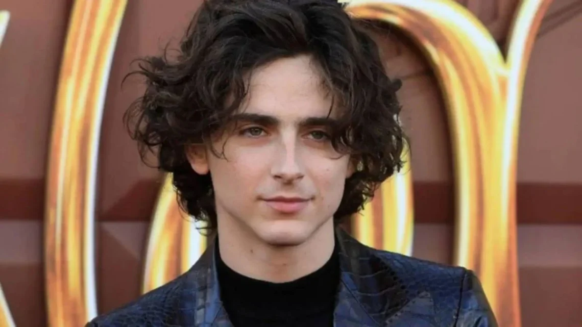 Timothée Chalamet Biography