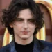 Timothée Chalamet Biography