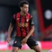 Tyler Adams Biography